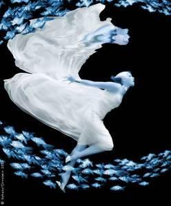 Photographies : Underwater by Howard Schatz