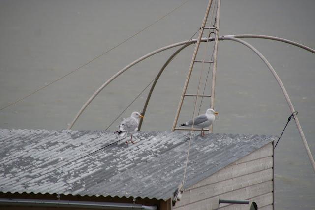 Le Chemin des pêcheries .
