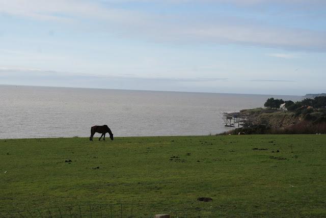 Le Chemin des pêcheries .