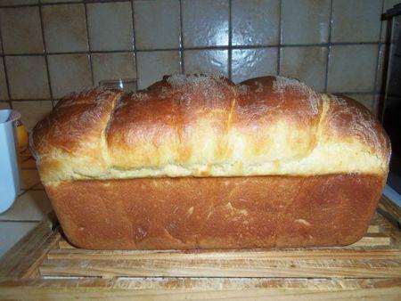 brioche de patrick vapa