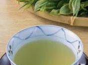 vert bien fait pour beauté