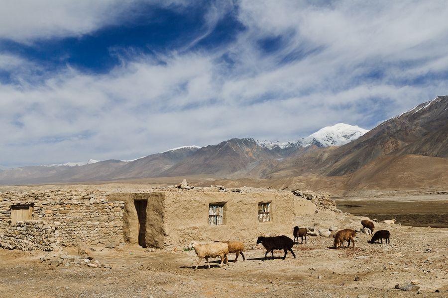 Sur la route du Karakoram