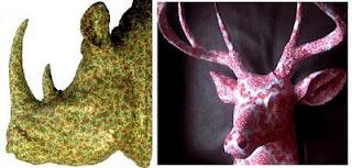 En chasse de nouveautées !