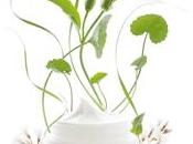 J'ai testé adoré Idéal Ressource Darphin