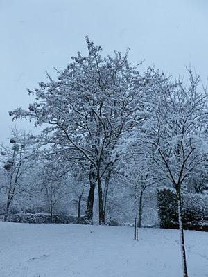 Episode neigeux From the avenue