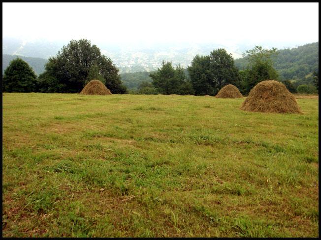 Marche en forêt et monastère de Gochavank