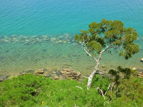 NOUMEA Presqu'île de Nouville - Photo Cécile Gérard Vacances à Nouméa…
