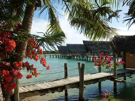 NOUMEA ANSE KUENDU - Photo Cécile Gérard Vacances à Nouméa…