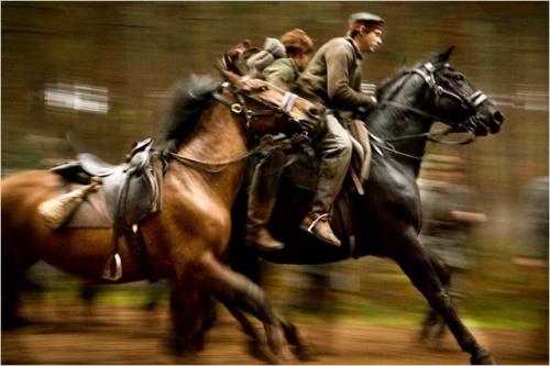 Cheval De Guerre Streaming Critique cinéma : Cheval de guerre (War Horse) | À Voir