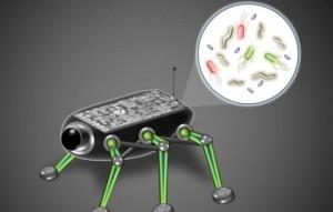 Des robots et des microbes