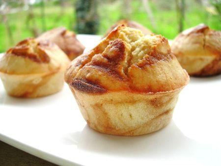 muffins marbrés (2)