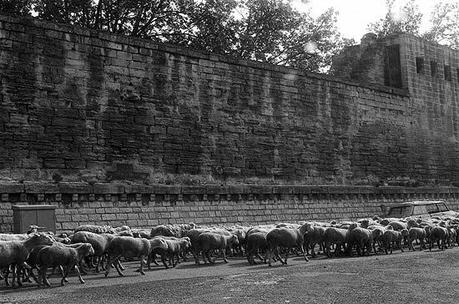 Estivage 1980 1513298214.jpg