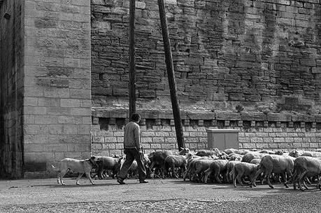 Estivage 1980 766364630.jpg