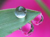 Développement personnel handicap suite