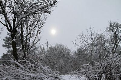 Neige de la sainte Martine...