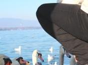 grâce arrêter d’engraisser canards...