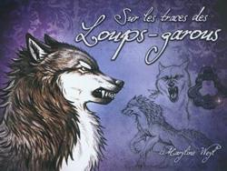 Bilan lecture - Janvier 2012