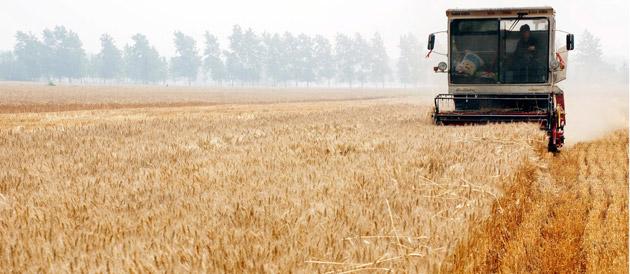 La politique agricole commune a cinquante ans
