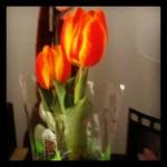 Janvier { Instagr.am }