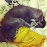 Janvier { Instagr.am }