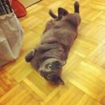 Janvier { Instagr.am }