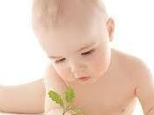 Attention, chutes bébés