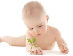 Attention, chutes de bébés !