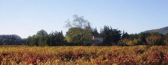 HOME-copie-1-copie-1