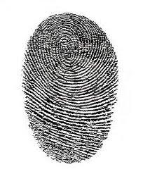 Cambriolage du magasin d'usine Stock B