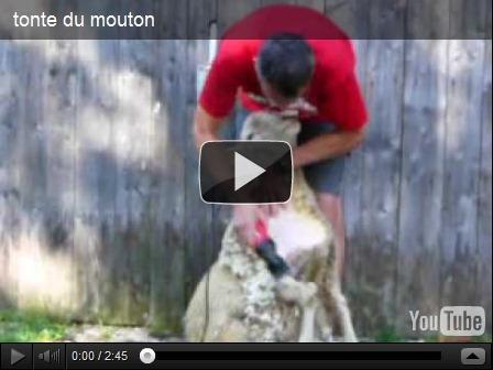 La transe des canards