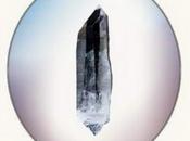 Découvrez audacieuse Moss