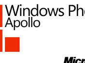 détails Windows Phone