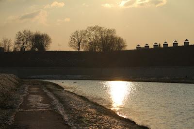 Les papattes dans l'eau froide