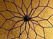 Soi, l’union masculin féminin