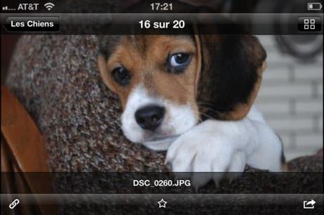 DropBox vous offre jusqu’à 5Go supplémentaire de stockage pour vos Photos