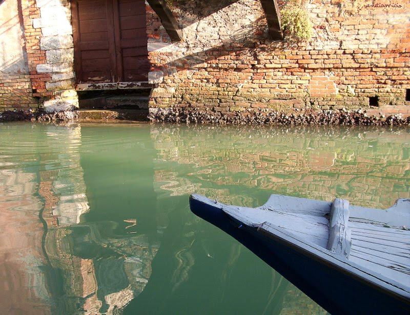 ZUDECA : le jardin d'Eden