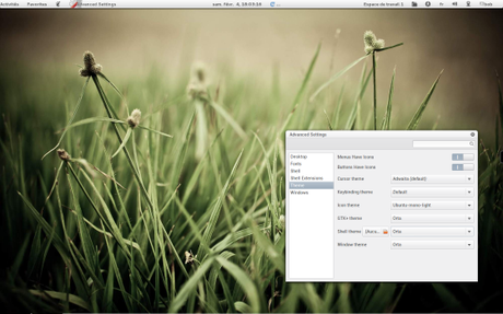 Le thème Orta compatible Unity et Gnome Shell