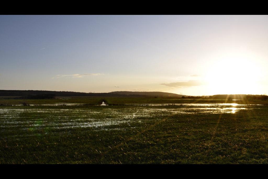 Crépuscule au marais - Village Jonas (3144)