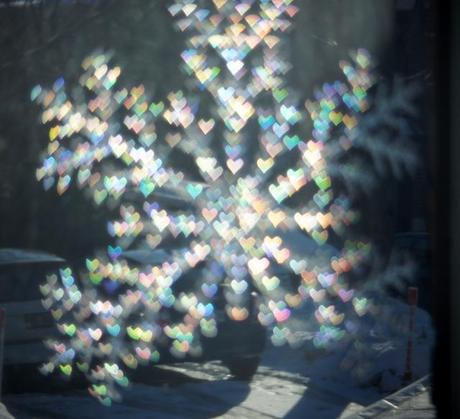 LA PHOTO DE LA SEMAINE #4