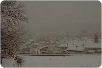 LA PHOTO DE LA SEMAINE #4