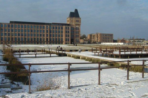 Les jardins d'eau glacés d'Euratechnologies en hiver