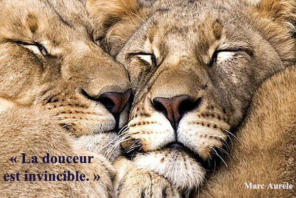 Douce réalité...