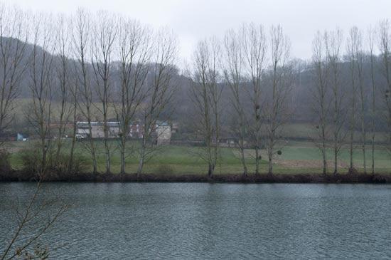 riviere-et-arbres-x.jpg