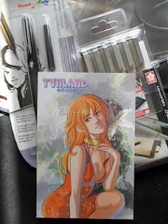 TVHLand et PetitFormat.