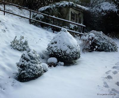 Il aura suffit de quelques jours seulement pour passer de...