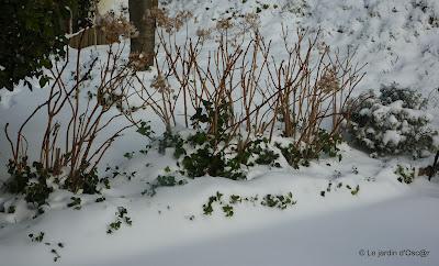Il aura suffit de quelques jours seulement pour passer de...