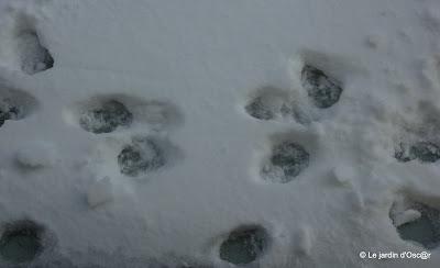 Il aura suffit de quelques jours seulement pour passer de...