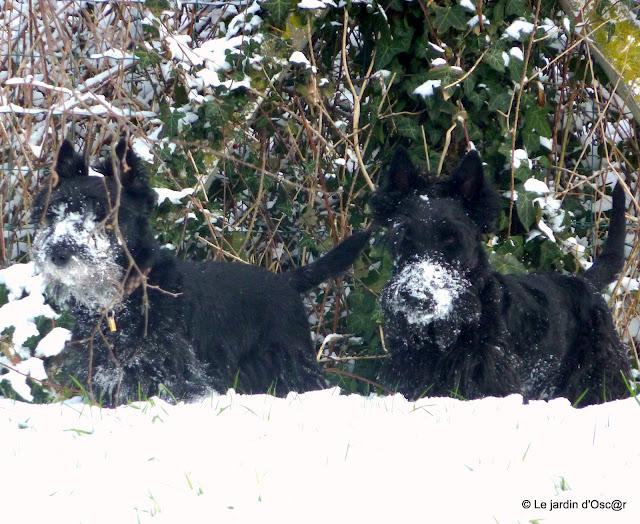 Il aura suffit de quelques jours seulement pour passer de...