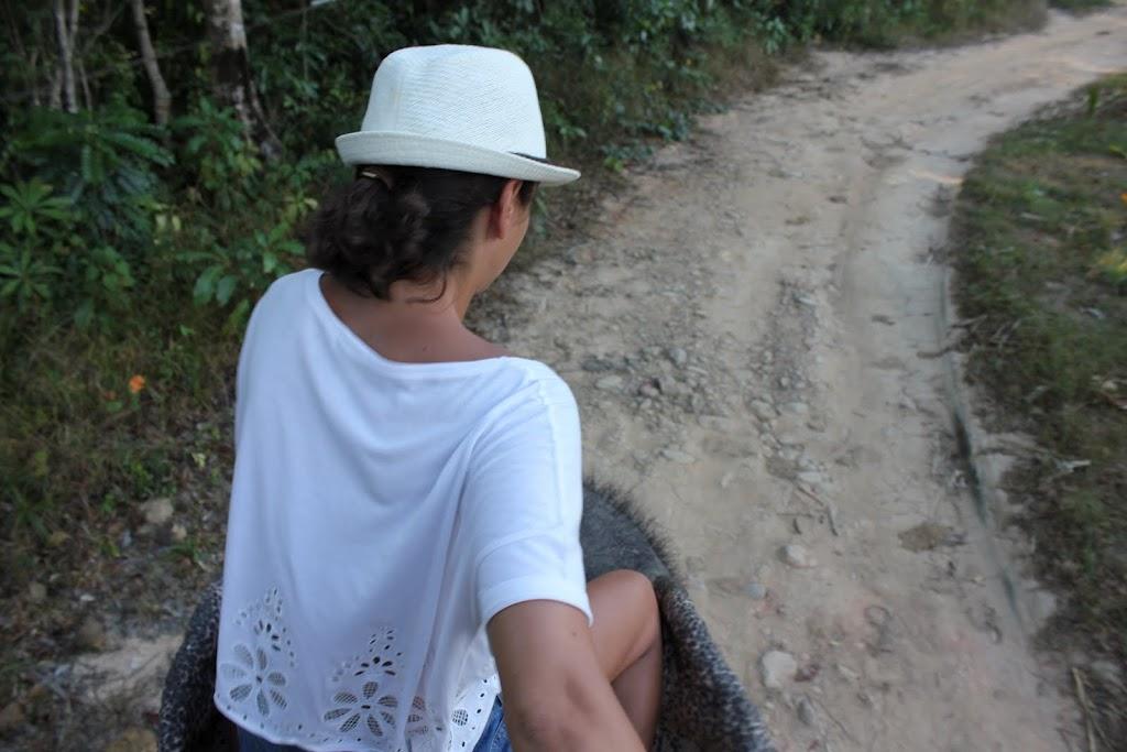 Un peu d’ailleurs…