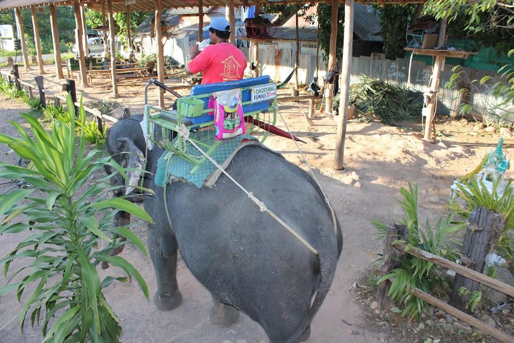 Un peu d’ailleurs…